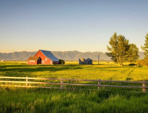 Top trending Airbnb destination